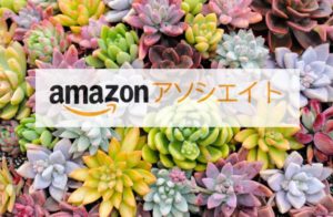 【Amazonアソシエイト】本家の申請方法を詳しく説明します！