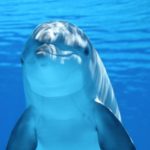 【ワードプレス】画像を左・中央・右寄せして文字を挿入する方法!