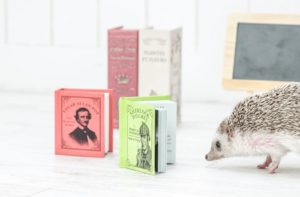 【Diver】記事一覧のタイトルバーに表示される文字の設定方法!