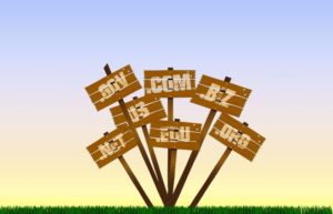 【ブログ】ドメイン名の決め方３つと注意点を2つ詳しく説明します！