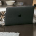 【WordPress】パーマリングのURLは日本語？アルファベット？