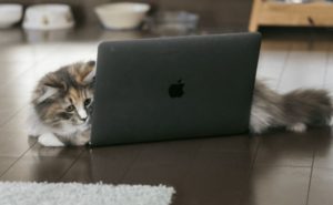 【WordPress】パーマリングのURLは日本語？アルファベット？