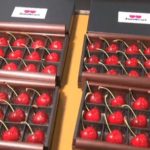 【ジュノハート】新品種のさくらんぼ!初せりで1箱15万円!
