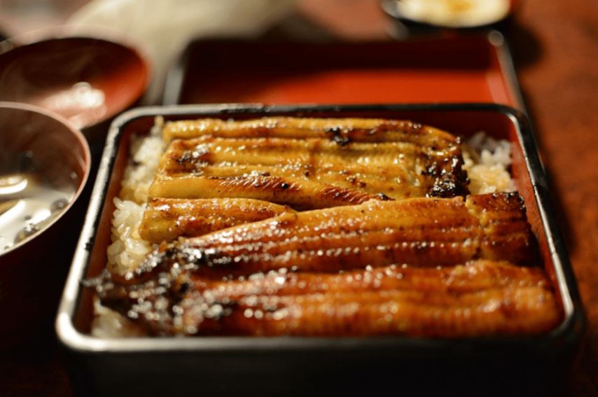 【幻の鰻】大井川「共水うなぎ」が神奈川で食べられるお店は？